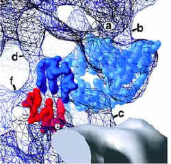 electron density map