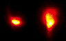 Data from an Optical Transition Radiation experiment